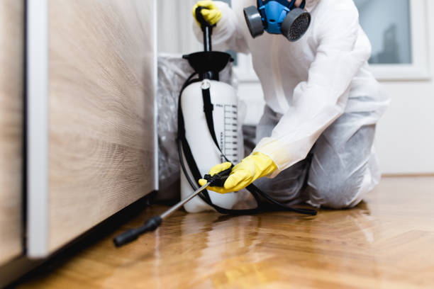 Pest Control Cost in Voorheesville, NY