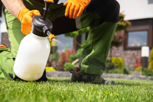 Best Pest Control Near Me in Voorheesville, NY