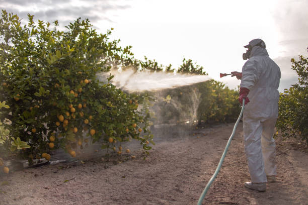 Professional Pest Control in Voorheesville, NY