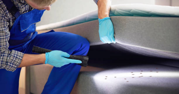 Best Pest Control Near Me  in Voorheesville, NY