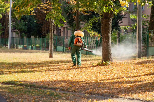 Best Local Pest Control Services  in Voorheesville, NY