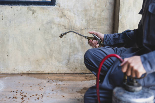 Best Affordable Pest Control Services  in Voorheesville, NY